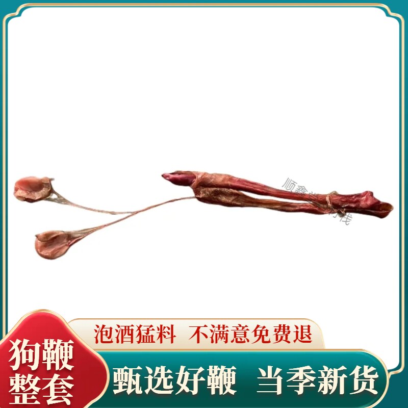 海鞭狗鞭干整根全套带睾丸中药材