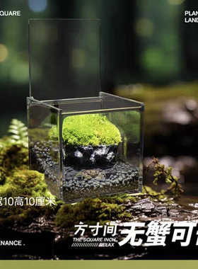 微景观生态瓶桌面螃蟹缸