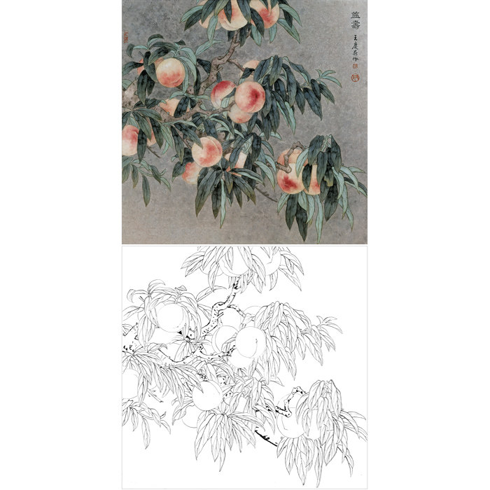 工笔画寿桃画白描底稿国画桃子水果线描画稿临摹勾线练习打印画稿