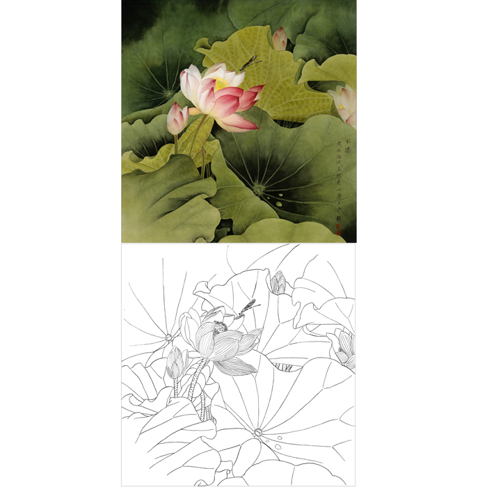 白描底稿工笔画荷花小品