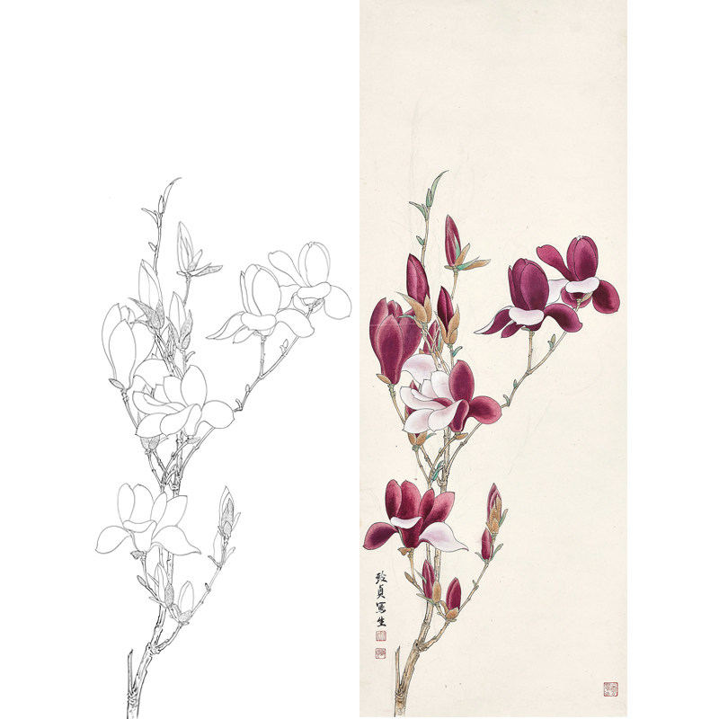 工笔画玉兰花白描底稿国画宣纸可上色底稿临摹勾线练习打印稿子