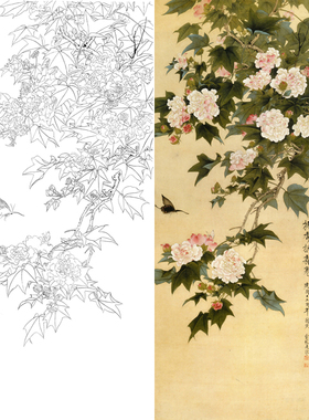 俞致贞工笔芙蓉图白描底稿国画花鸟线描临摹打印稿挺秀拒霜图稿子