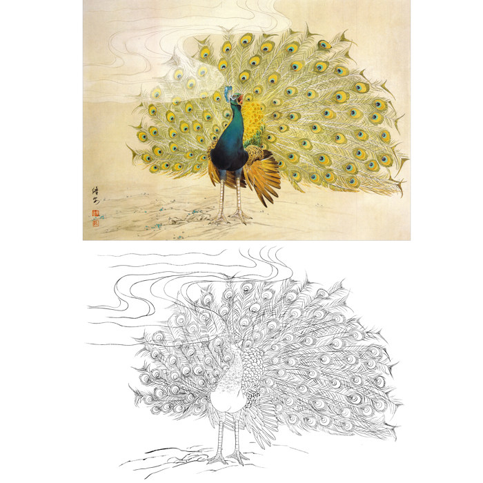 工笔画孔雀图白描底稿邹传安工笔画孔雀开屏作品国画临摹勾线稿子