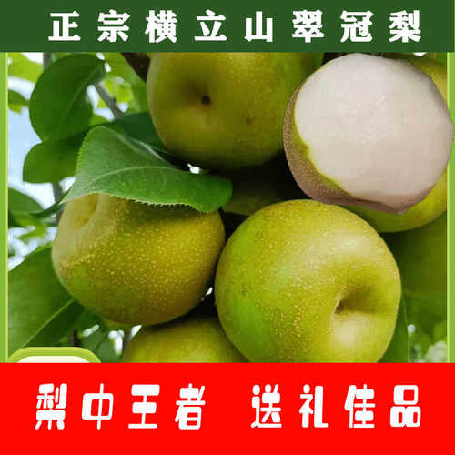 【100%回购】瑞昌横立山翠冠梨新鲜水果蜜梨顺丰包邮梨子脆甜爆汁