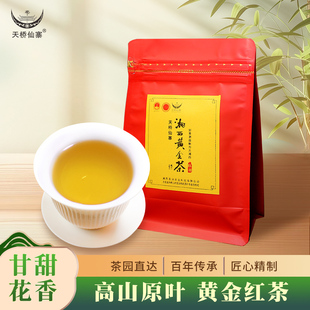 黄金红茶 天桥仙寨2025雨前高山生态花蜜香红茶100克/袋 试喝装