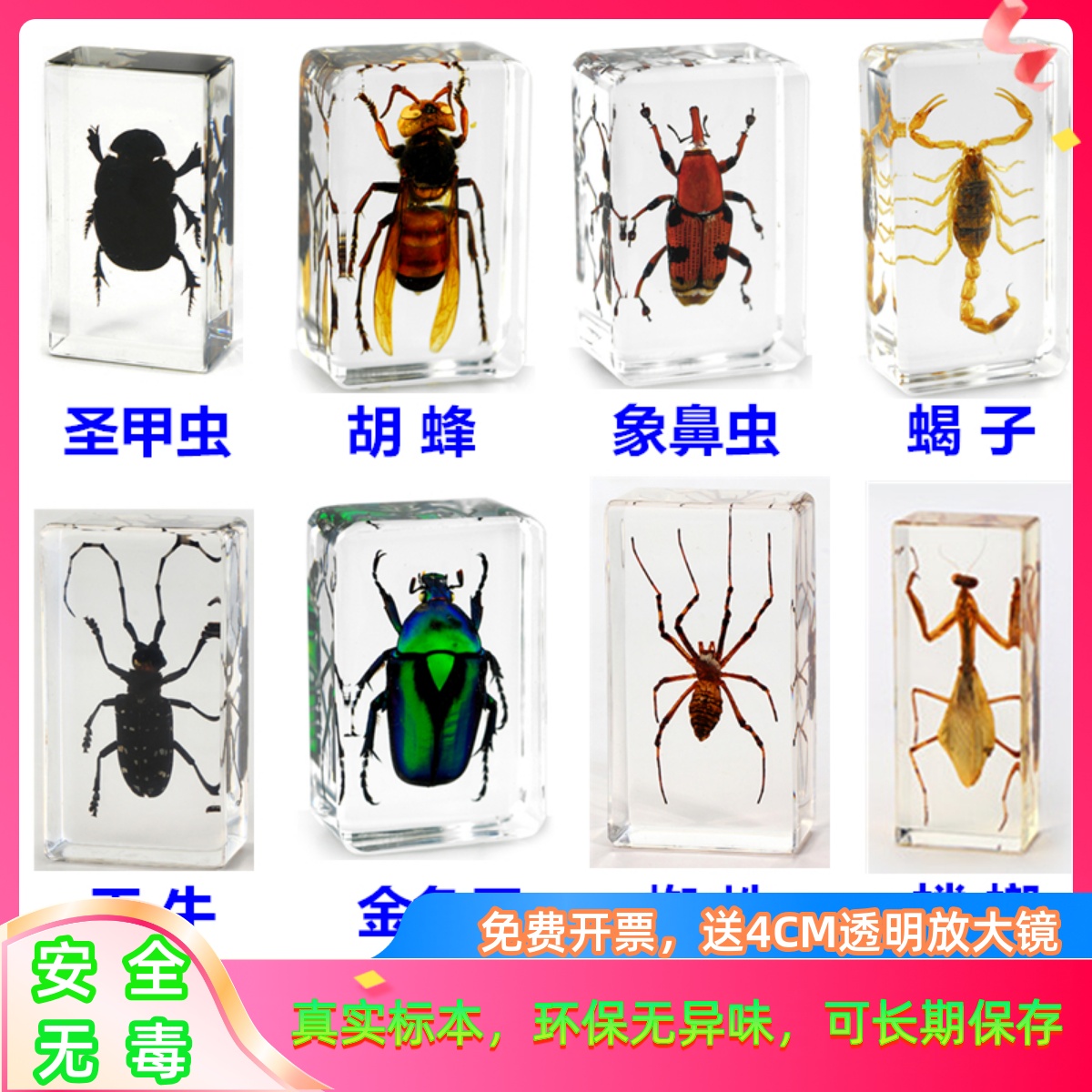 法布尔真实昆虫标本安全环保