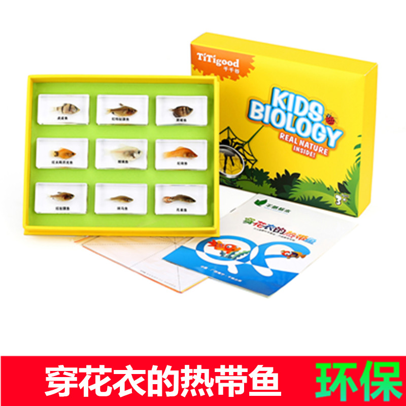 千帆正品幼儿园小学教学儿童益智动物热带鱼真实树脂包埋标本套装