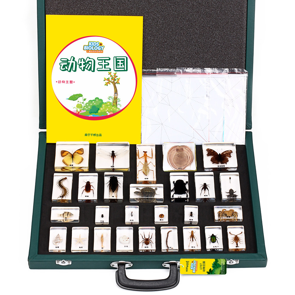 千帆中小学前教具收藏动物王国昆虫蜈蚣蜻蜓乌龟甲虫真实标本套装