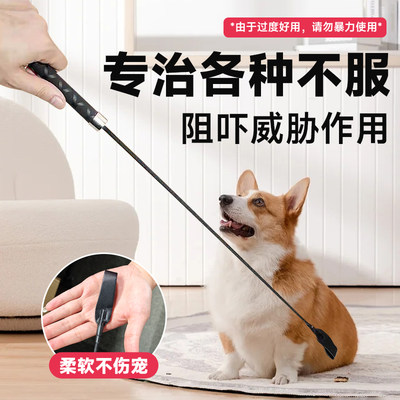 狗打棒训犬打狗棍狗狗爱心拍