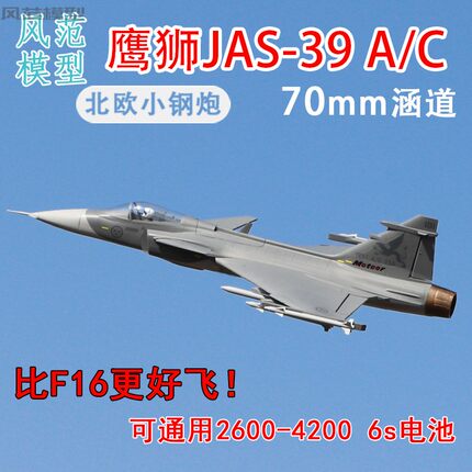 风范模型70涵道EPO鹰狮JAS-39A/C像真机固定翼涵道练习机遥控飞机