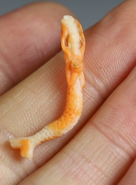 [美人鱼]天然海洋有机半宝石纯手工雕刻小件 原创0.88g 楼叔孤品