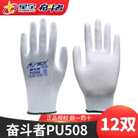 Сингию борьба с PU508 [12 удвоений] [Фальшивая одна плата десять]