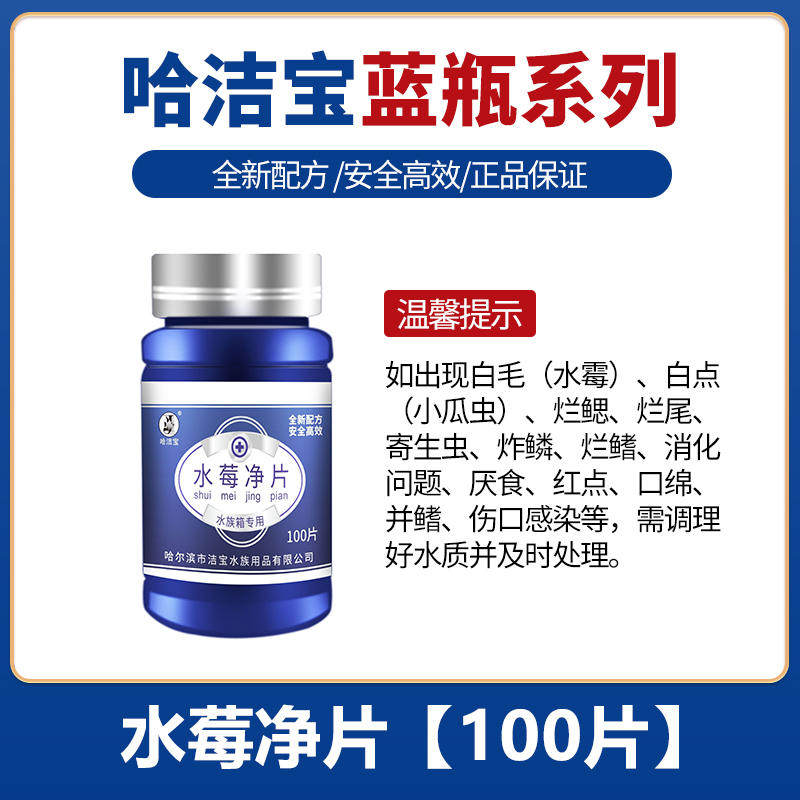 哈洁宝观赏鱼水莓净片金鱼锦鲤水霉白毛病非兽药