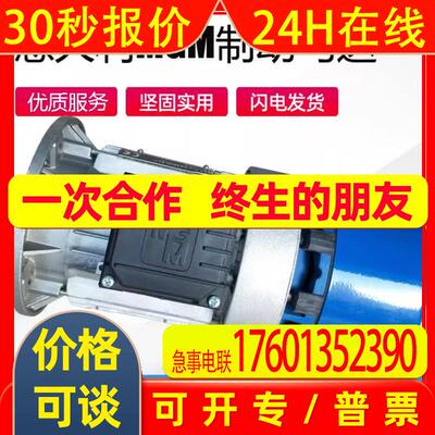 意大利MGM刹车电机MGM直流刹车电机BM100LA4供应