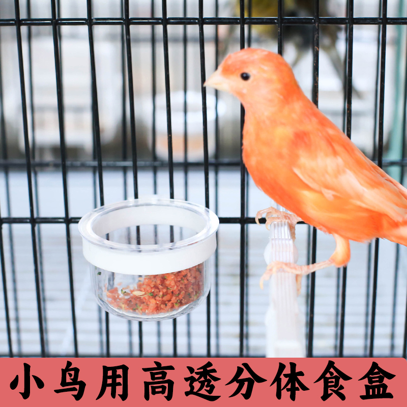 虎皮牡丹鹦鹉透明玉鸟小食杯