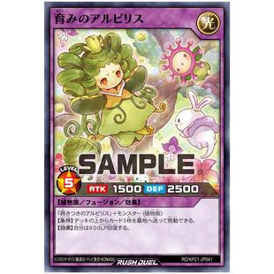 游戏王RD 育养之钢丝弹簧草N kp21-jp041【布鲁斯卡牌】