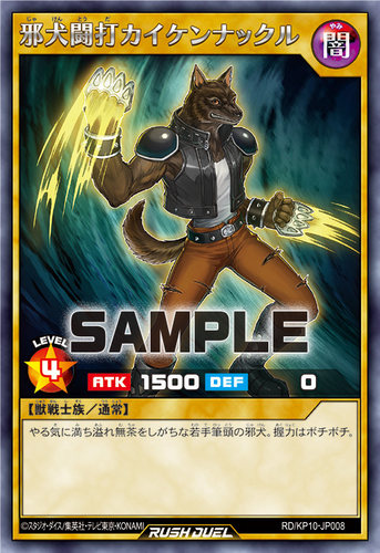 【布鲁斯卡牌】游戏王RD 邪犬斗打 拳环甲斐犬R kp10-jp008