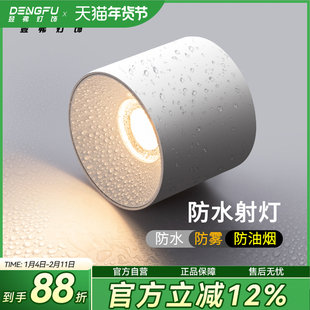 防水雾明装射灯天花灯厨房筒灯淋浴室家用卫生间干区户外雨棚IP65