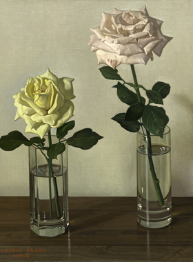 克劳迪奧布拉沃 Claudio Bravo 布雷沃 写实油画高清大图临摹素材