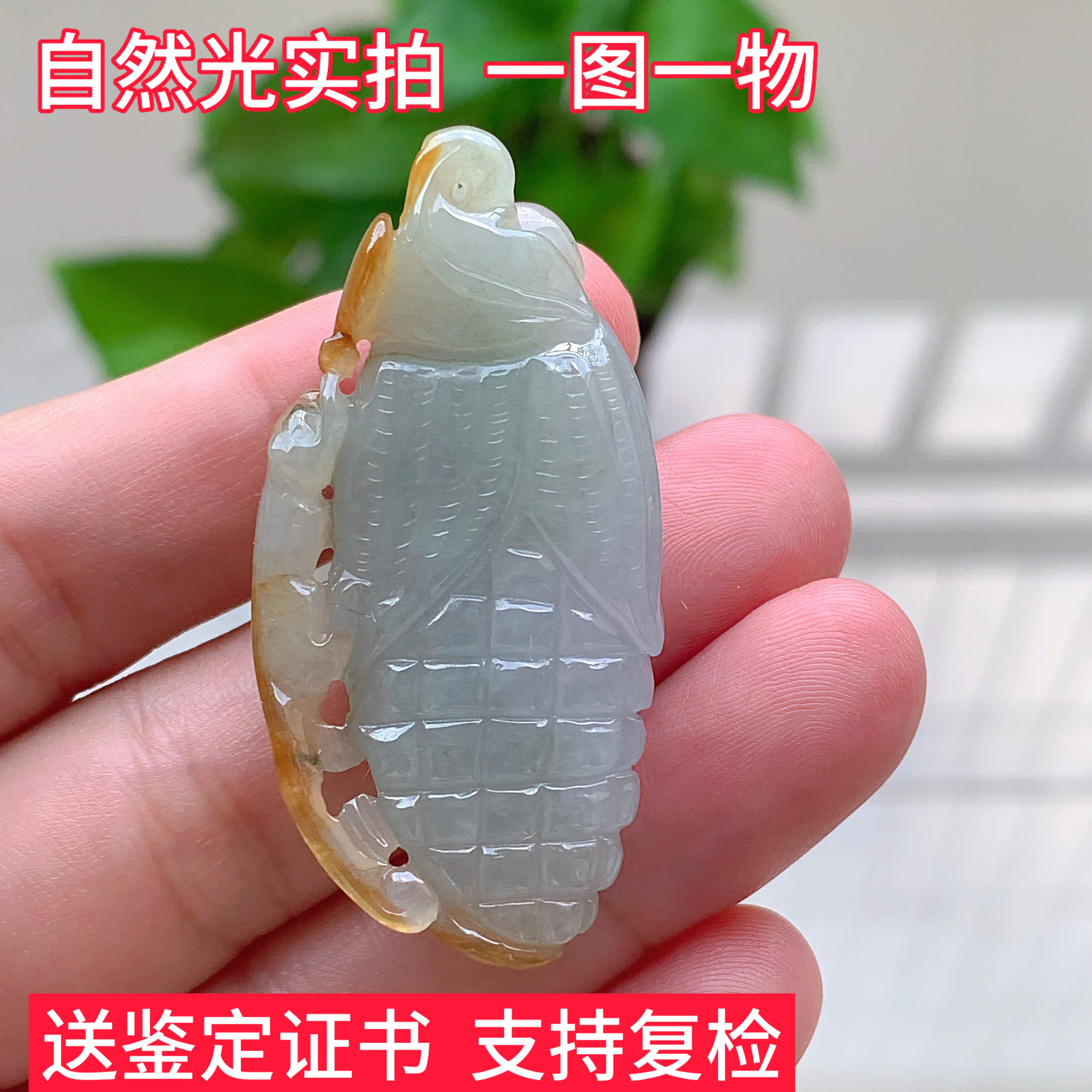天然缅甸翡翠玉米惜福吊坠玉坠男女珠宝礼物挂件玉器证书送长辈