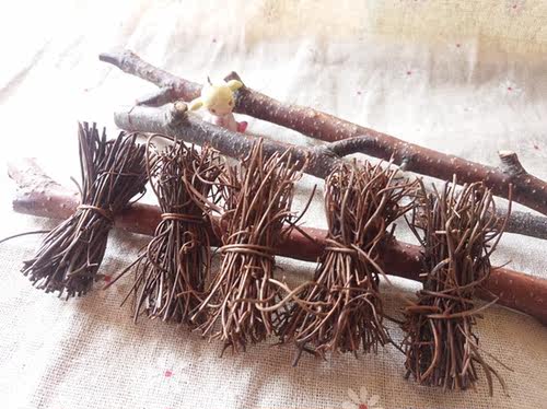 森系藤枝摆件摆设拍照道具DIY设计配件天然藤枝手作材料外贸装饰