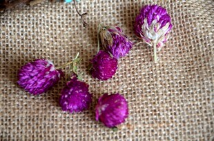 天然植物风干花千日红千日紫手作DIY材料永生花香薰装饰拍照道具