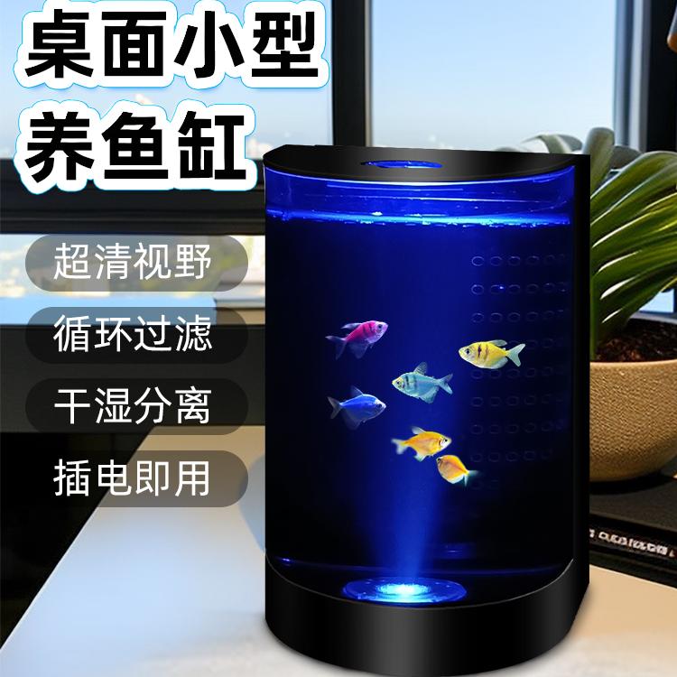 半圆形专业水母缸桌面活体海月