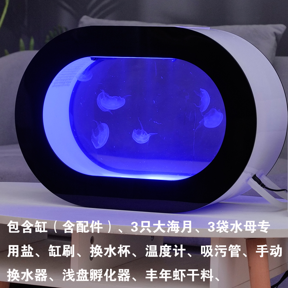 桌面观赏水族水母缸水母生态缸水母专用缸小型一缸多用亚克力鱼缸