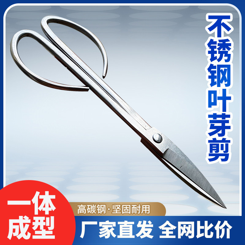 全不锈钢园艺剪叶芽剪嫩芽剪刀插花盆景枝叶剪修剪小枝剪加厚长杆,鲜花速递/花卉仿真/绿植园艺,剪刀,淘宝优惠券,粉丝福利购,淘宝优惠卷