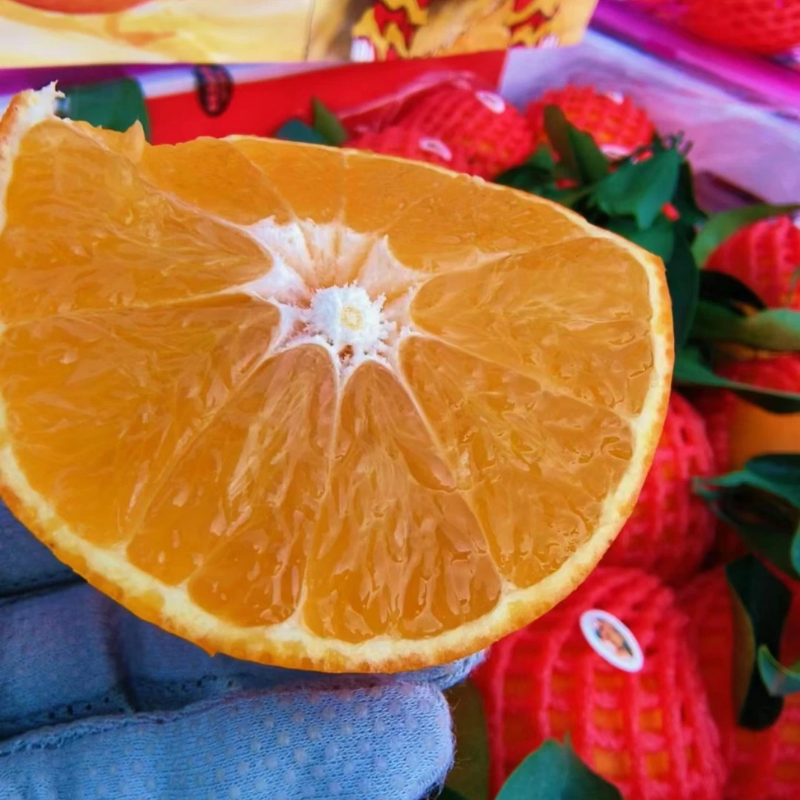 无籽无渣爱媛果冻橙 皮薄多汁 自然成熟不催熟8.5斤装礼盒