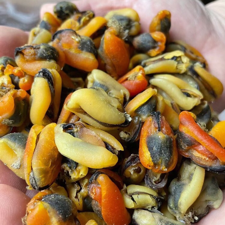 野生淡菜干海虹青口贻贝500煲汤
