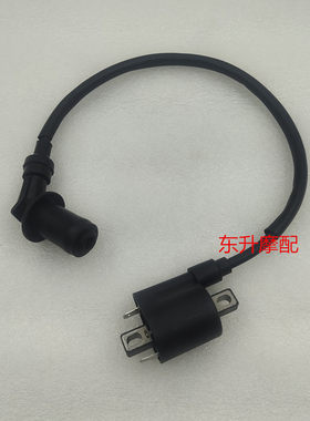 轻骑木铃踏板摩托车电喷车