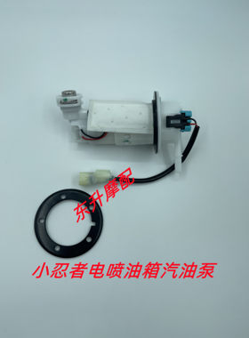忍者喷油泵地平线国四r35v6n19