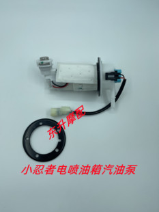 小忍者电喷油泵地平线国四R35V6枭风N19大蟒蛇摩托跑车汽油泵总成