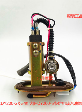 大运摩托车原厂配件DY200-2X天錾电喷汽油燃油泵大阳DY200-5枭雄