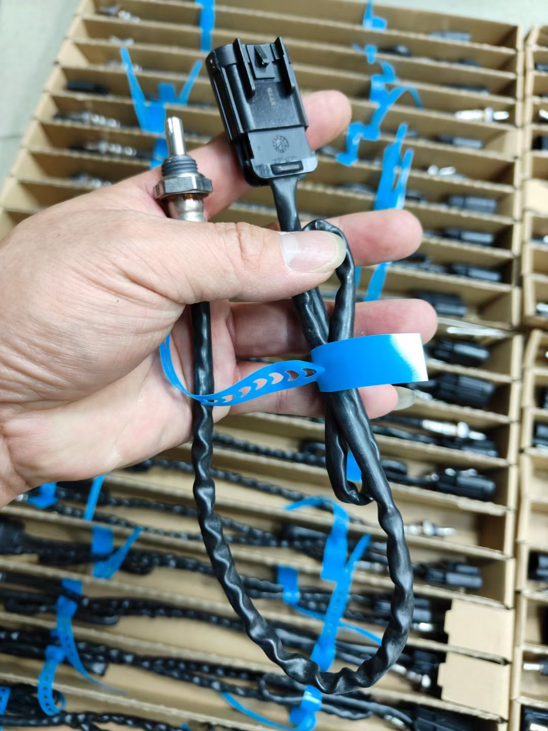 高金 GK500 咖啡版穿越版氧传感器 Flame500氧传感器  GAOKIN