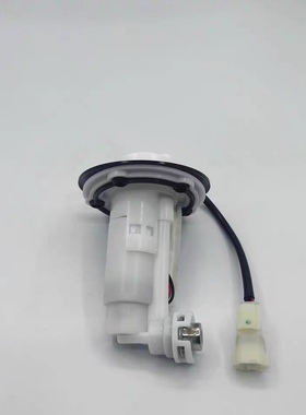 贝纳利RFS150-10A 小暴龙125-3E/3F红宝龙150-29 29A燃油泵汽油泵