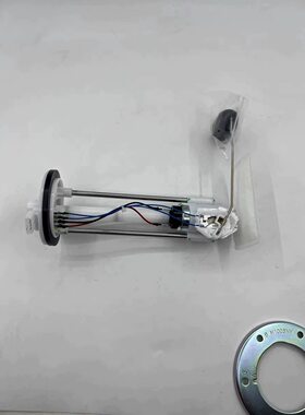 大隆鹰豪踏板摩托车YH150T-2A燃油泵汽油泵
