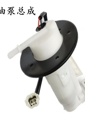 Tnt135 Vz125 贝纳利 BJ150-10A 弯梁车 跑车 RFS150i 燃油泵