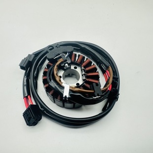 五羊PCX160磁电机线圈WH150T-2新大洲定子组件点火线圈