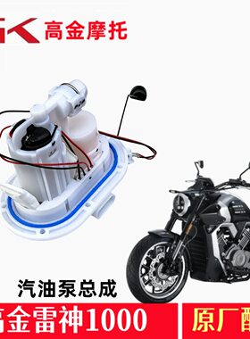 高金雷神V1000汽油泵THOR1000燃油泵电喷压力油泵摩托车原厂配件