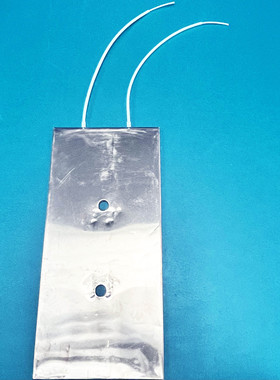 5112101082加热板/Weishaupt/EV2D