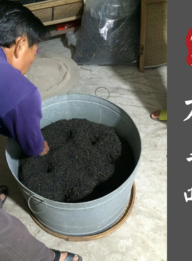 【捡漏正春大乌叶/鸭屎香】三道碳火核心产区  凤凰单丛春茶 足火