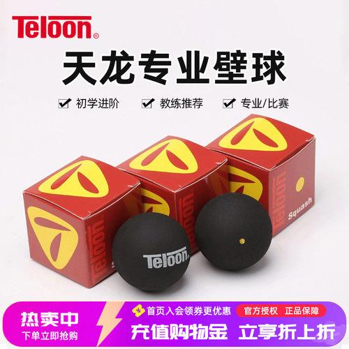 专业比赛壁球初学训练