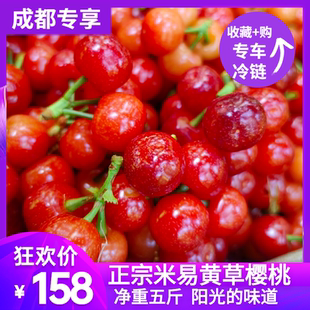 现货2500g成都专享四川黄草新鲜小恩桃天然国产小樱桃水果