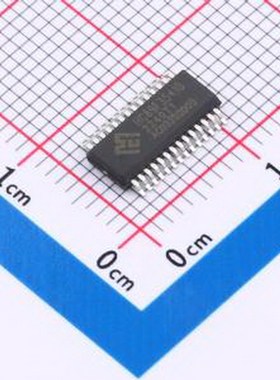 HC89F3541B-SSOP28-T-M 单片机(MCU/MPU/SOC) SSOP-28封裝 原裝正