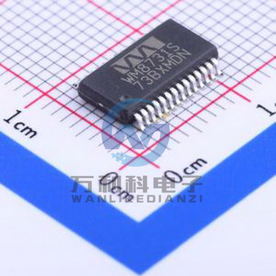 WM8731SEDS!RV 特殊逻辑IC SSOP-28-208mil封装 原装正品