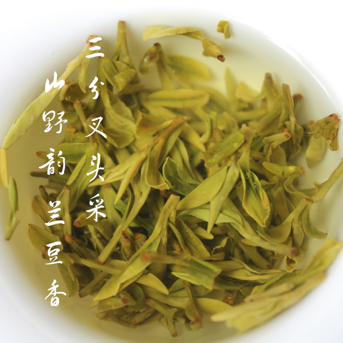 2026新茶 三分叉狮峰头采 梅家坞老树龙井50g
