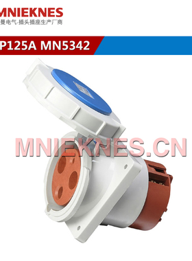 3孔125A暗装斜座 工业插座IP67 防水插头插座 5342单相三线2P+E