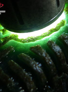 豪8印象Z26026G281老坑好种毛料玉石珠宝 缅甸天然翡翠原石1.3kg